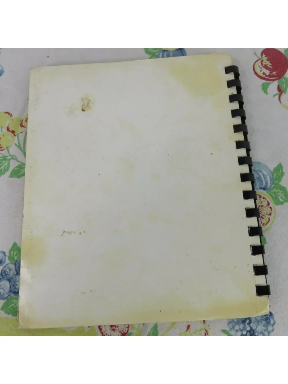 Favorite Hometown Recipes Cookbook Oceanway Assembly of God Jacksonville Church